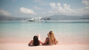 The pink sand and clear shallows of Pink Beach, Komodo
