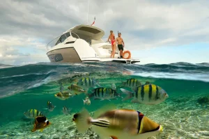 Guests snorkelling in clear water beside a charter boat