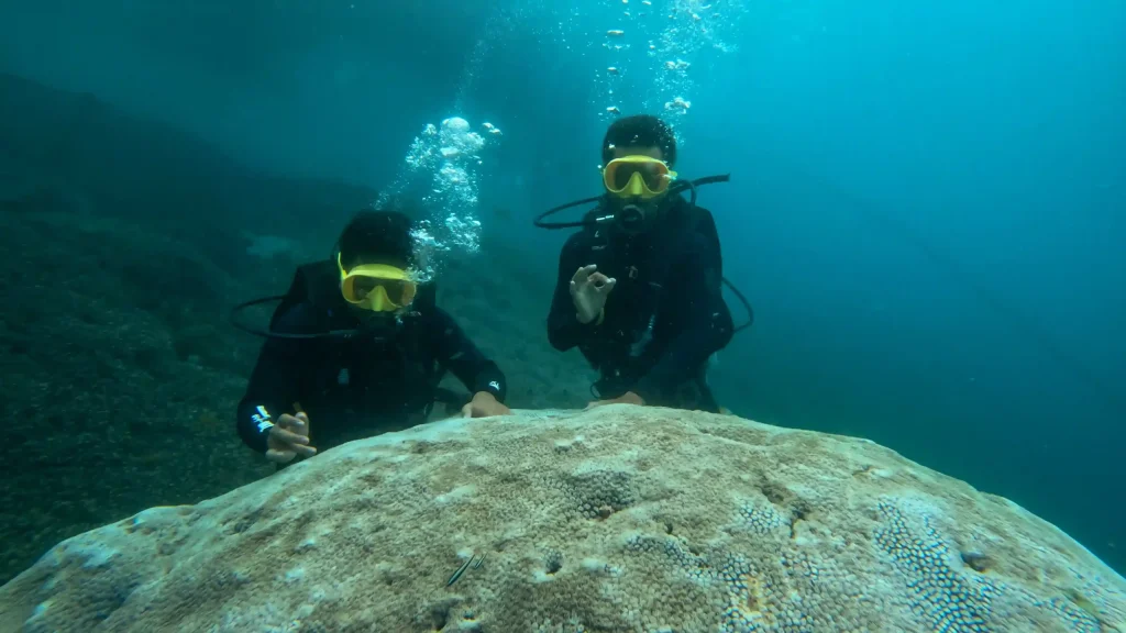 Divers and snorkellers over a shallow coral reef