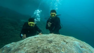 Divers and snorkellers over a shallow coral reef
